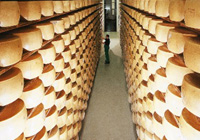 Sýr typu parmezán – grana